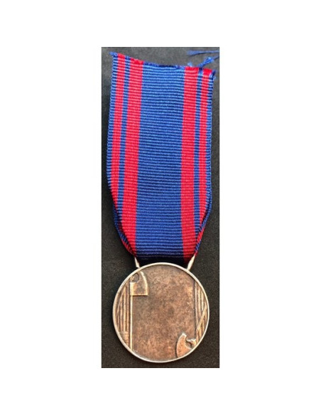 Italiaanse luchtmacht medaille zilver