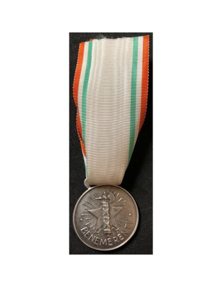 Médaille de la Croix-Rouge italienne