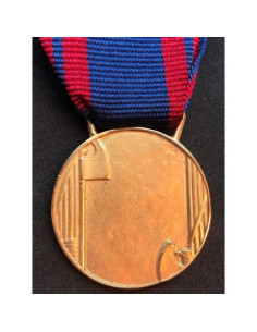 médaille d'or Italian Air Force 2
