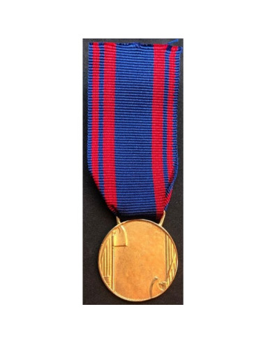 Italiaanse luchtmacht medaille goud