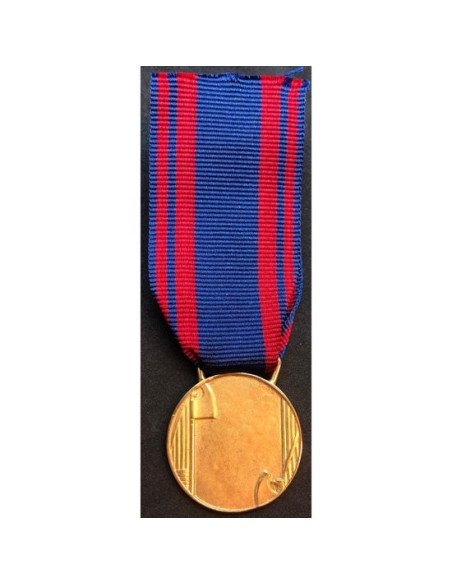 médaille d'or Italian Air Force