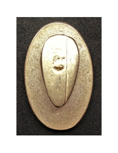 PNF nationale fascistische partij leden badge 2