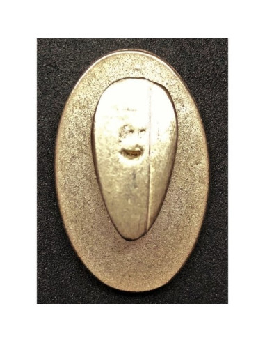 PNF nationale fascistische partij leden badge