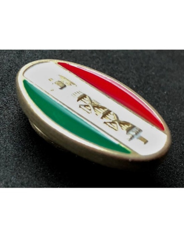 PNF Parti National Fasciste insigne de membre