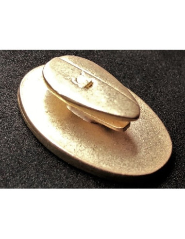 PNF Parti National Fasciste insigne de membre