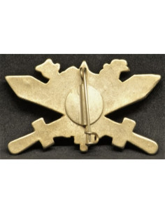 Nazi Duitsland trainingsbadge goud 2