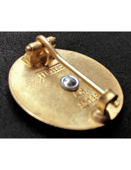 Golden nazi party badge