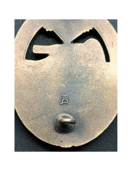 bronze badge division Panzer