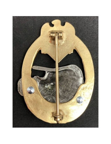 division Panzer 100 attaques de badge d'élite