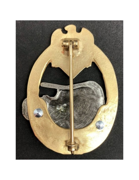 division Panzer 100 attaques de badge d'élite