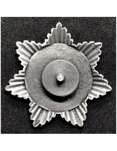 Stalin and Lenin propaganda pin