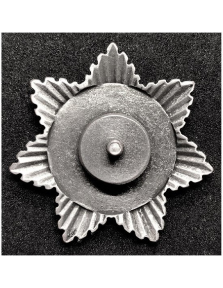 Stalin en Lenin propaganda pin