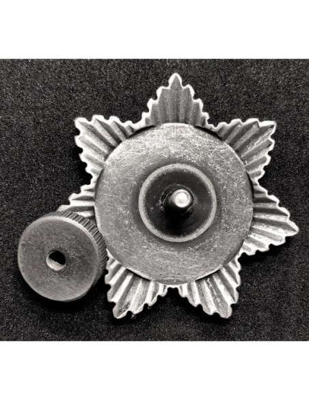 Stalin and Lenin propaganda pin