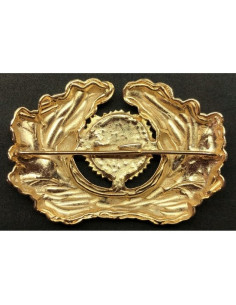  Eikenbladeren krans met kokarde pet badge goud 2