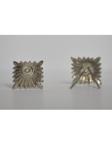 grand insigne d'argent vitre SS