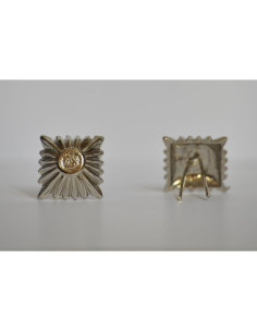 SS ruit insigne zilver