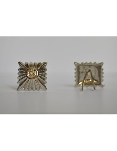 SS ruit insigne zilver