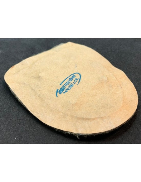 Innsbruck 1930 bouclier