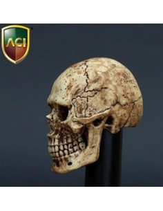 Hand painted skull 2