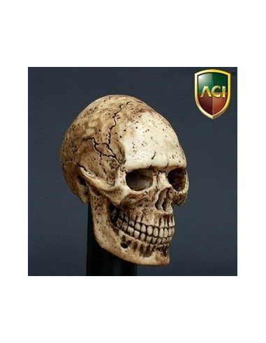 Hand geverfde schedel