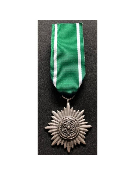 Ostvolk medal 2ᵉ Klasse