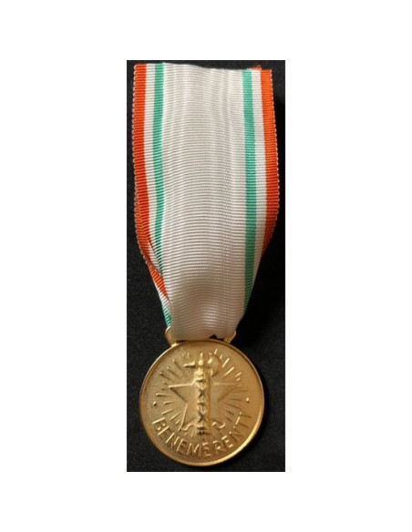 Italiaanse rode kruis medaille goud