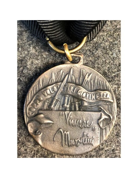 Jonge vrijwilligers korps medaille