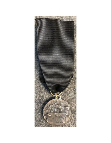 Jonge vrijwilligers korps medaille