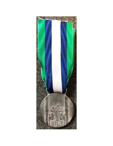 Moeder eren medaille