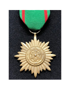 Médaille Ostvolk 2ᵉ or de classe