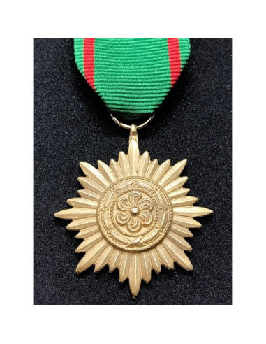 Ostvolk medaille 2ᵉ Klasse goud
