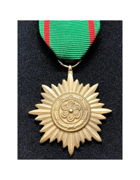 Ostvolk medal 2ᵉ Klasse gold