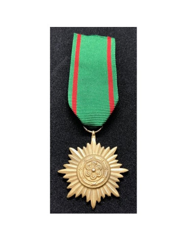 Ostvolk medal 2ᵉ Klasse gold