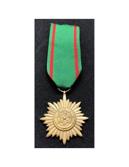 Médaille Ostvolk 2ᵉ or de classe