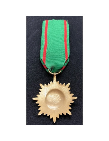Médaille Ostvolk 2ᵉ or de classe