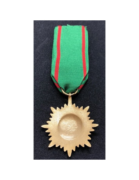 Ostvolk medal 2ᵉ Klasse gold