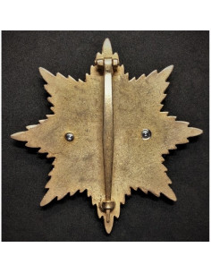 Ordre de la broche étoile aigle allemand 2