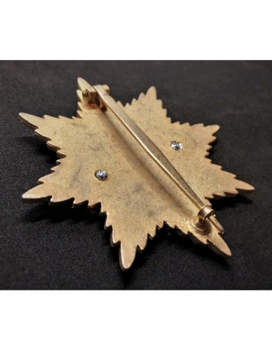 Orde van de Duitse adelaar ster broche 