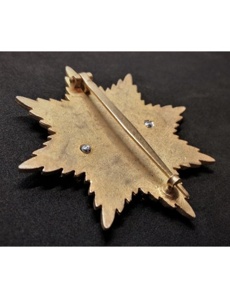 Orde van de Duitse adelaar ster broche 