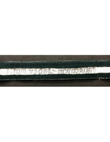 Fallschirm-Jäger Rgt. 1 brassard