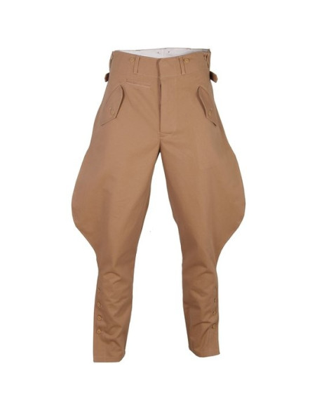 SA sturmabteilung breeches