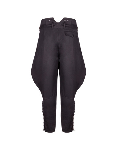 Pantalon général SS