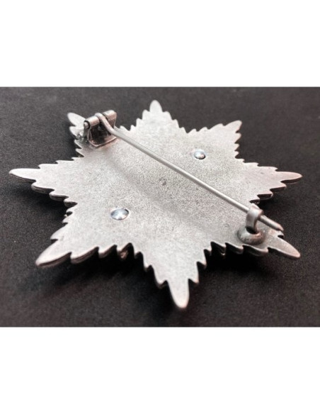 Ordre de l'argent Broche étoile aigle allemand