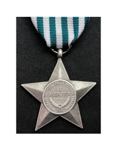 Italian colony soldier medal