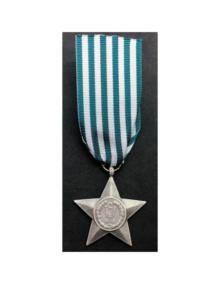 Italiaanse kolonie soldaat medaille