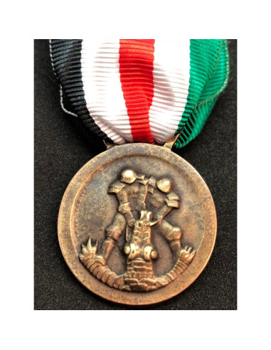 Noord-Afrika veldtocht medaille