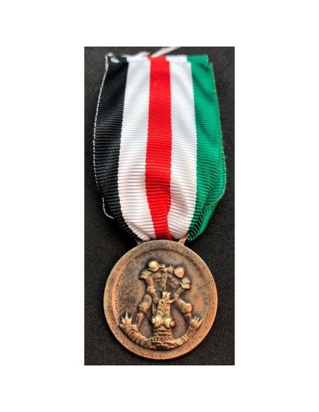 Noord-Afrika veldtocht medaille