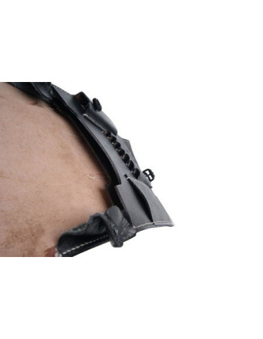 Wehrmacht/SS map case