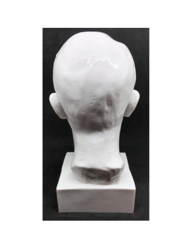Adolf Hitler head bust