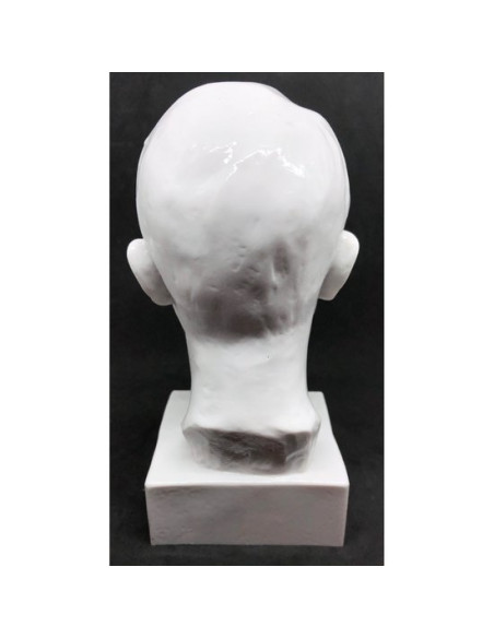 Adolf Hitler head bust